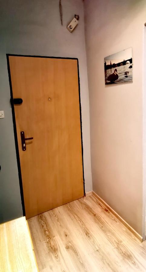 Apartament Milka W Dusznikach Zdroju Душники-Здруй Екстер'єр фото