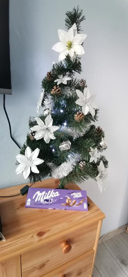 Apartament Milka W Dusznikach Zdroju Душники-Здруй Екстер'єр фото